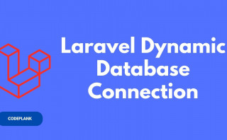 Laravel Dynamic Database Connection